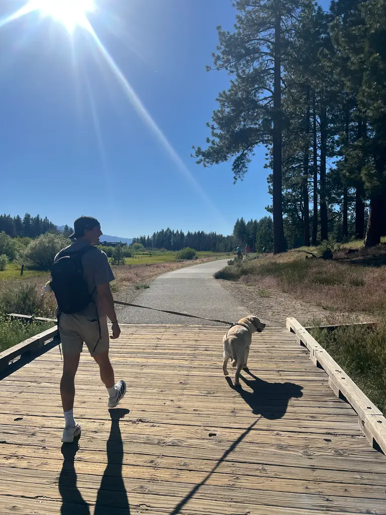 Alex walking Judd on a Tahoe boardwalk